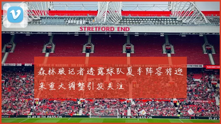 森林狼记者透露球队夏季阵容将迎来重大调整引发关注